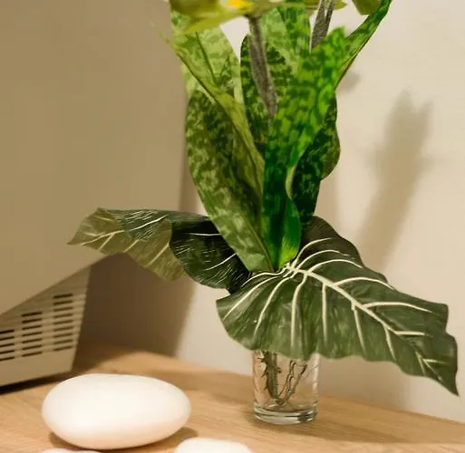 Gabrijela Apartman