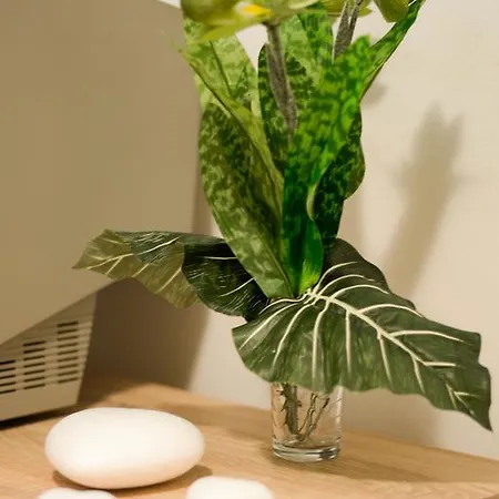 Gabrijela Appartement